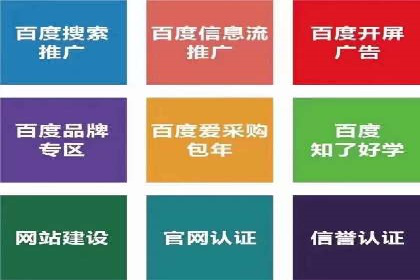 行业领先企业如何通过SEM运营提升ROI